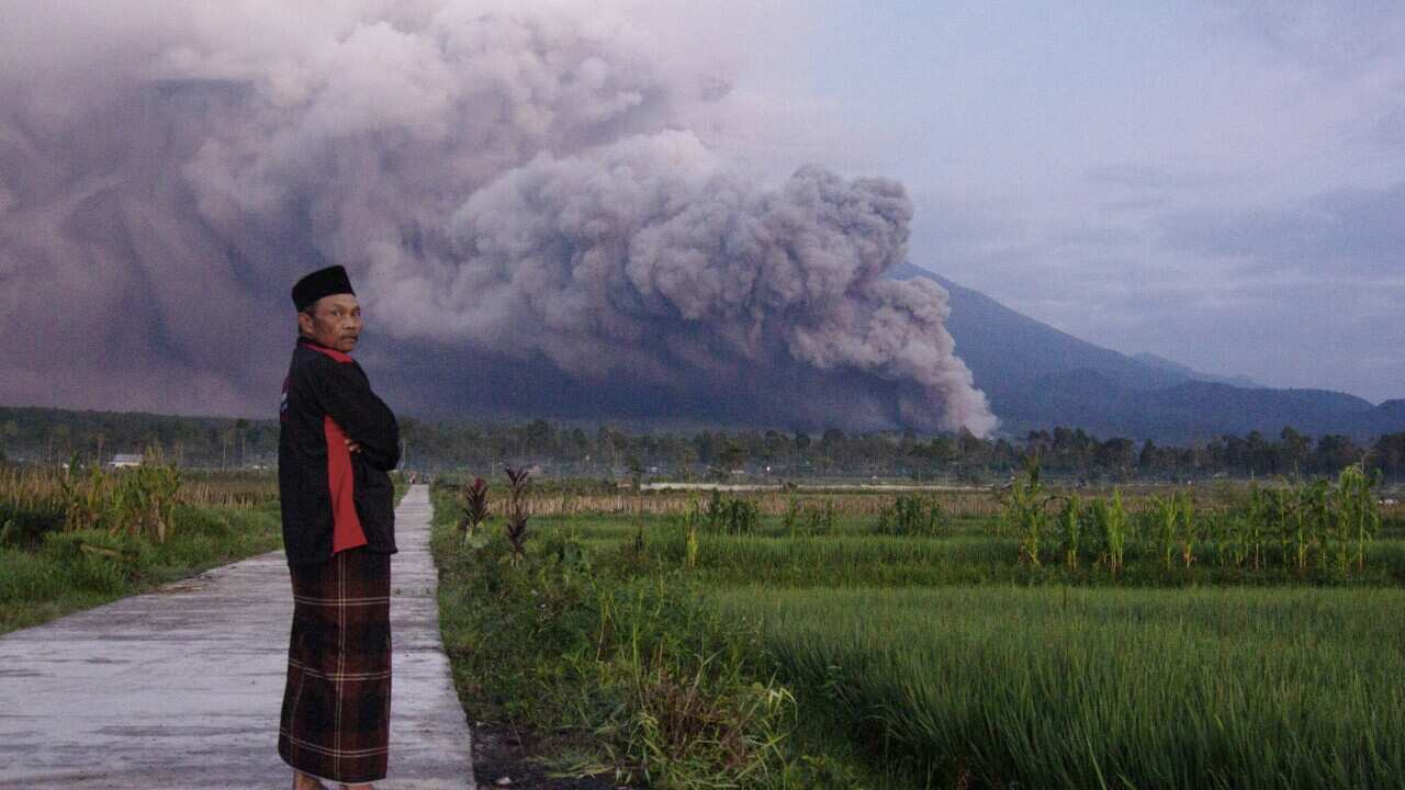 Il Vulcano Indonesiano Mount Semeru Erutta Mentre Le Autorit Alzano Il 